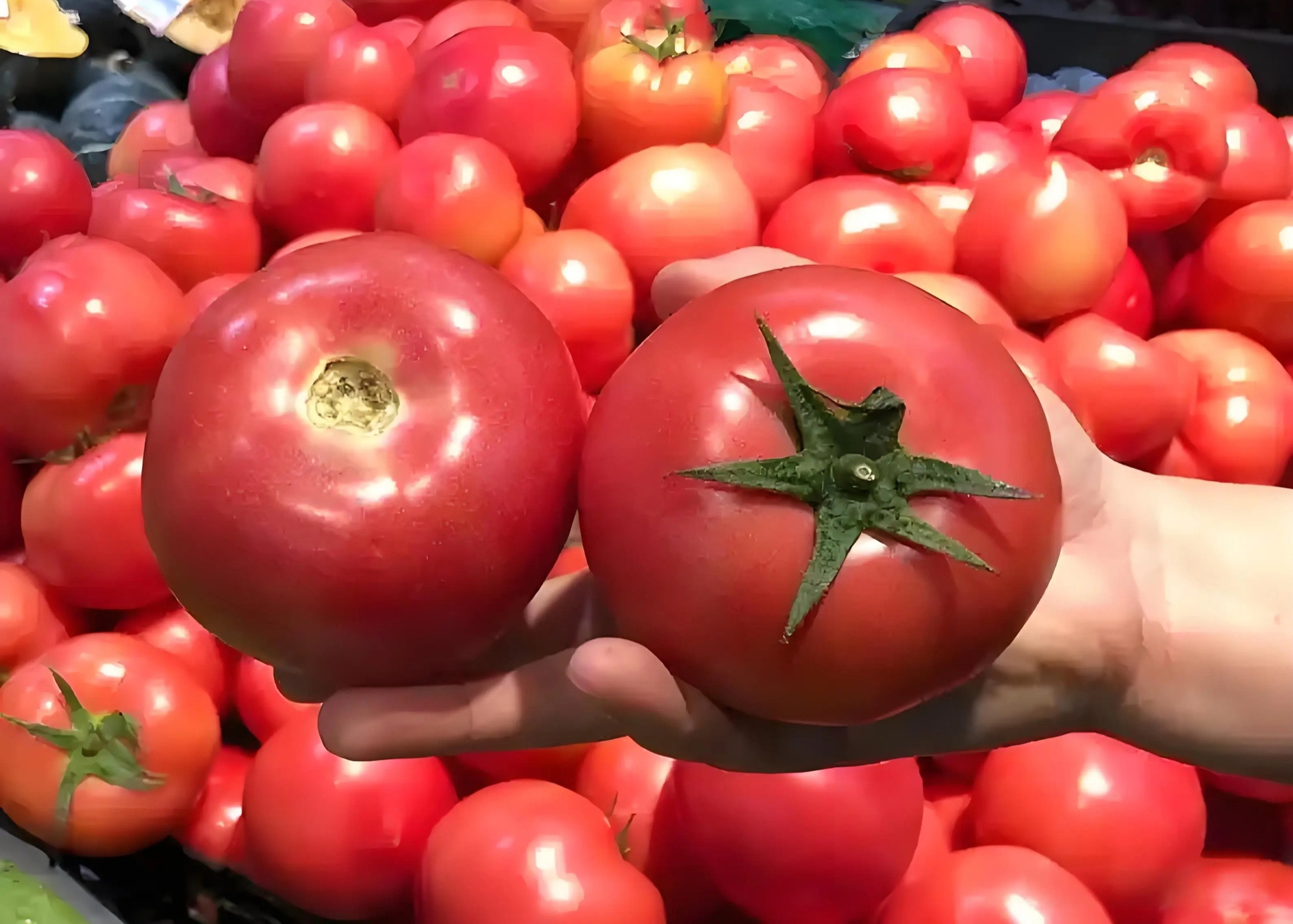 6 loại rau củ đừng mua mùa này- Ảnh 2.