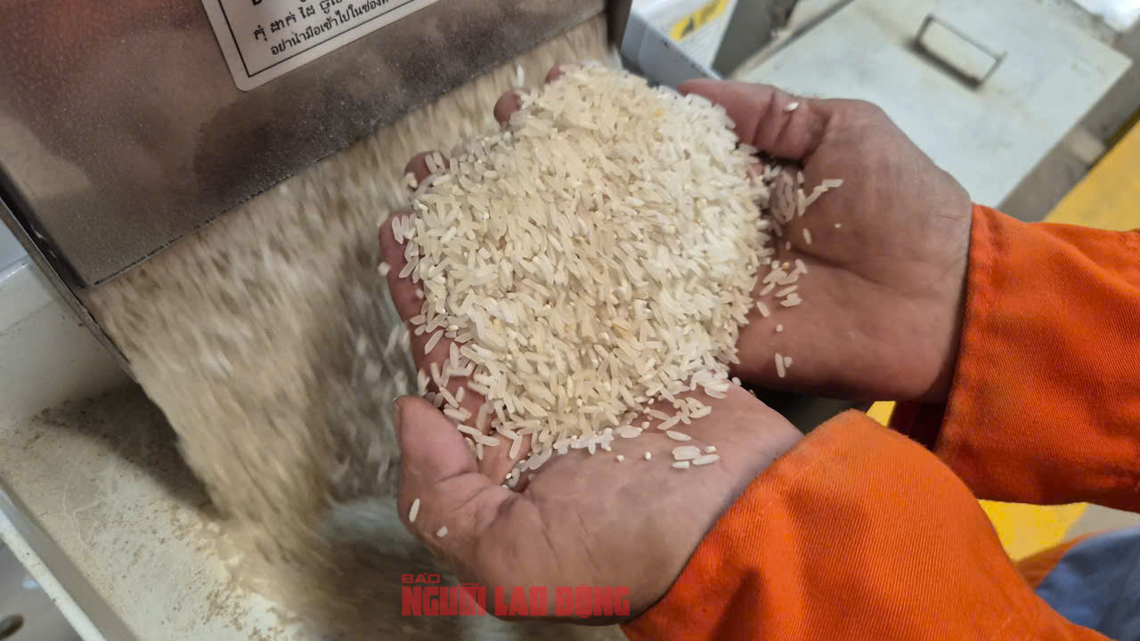 Việt Nam nhập gạo nhiều thứ 2 thế giới- Ảnh 1.