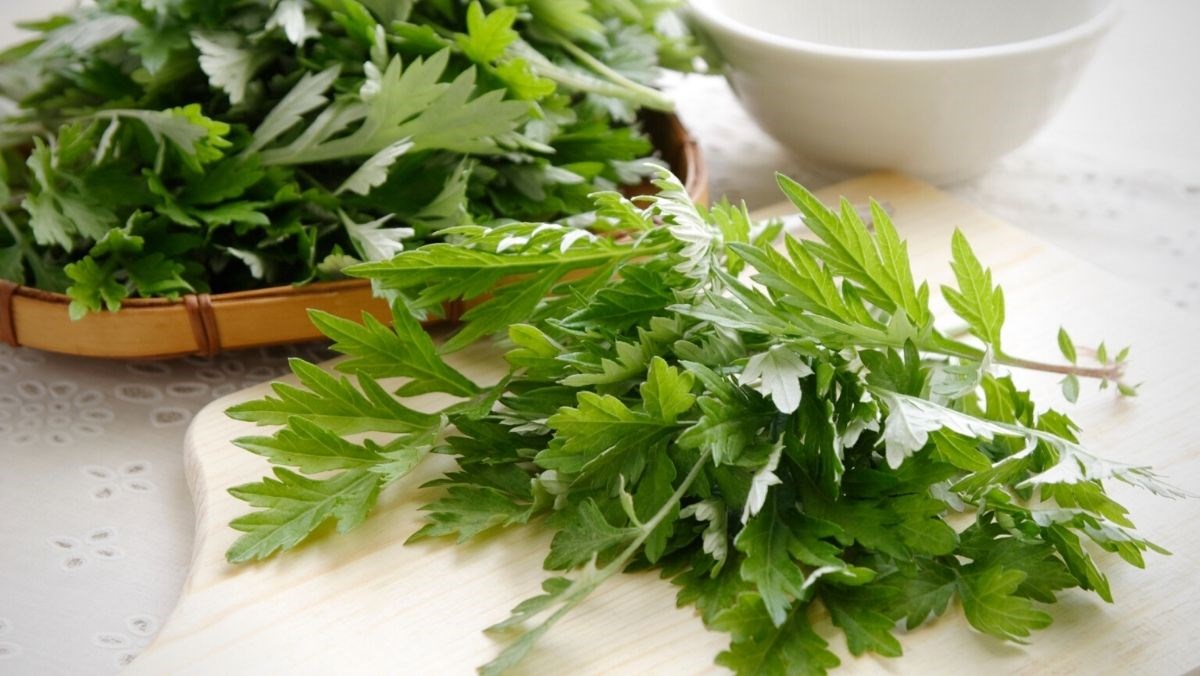 Nhật Bản đánh giá loại lá này tốt ngang "thuốc bổ" giúp sống thọ 100 tuổi: Chợ Việt bán nhiều, giá cực rẻ- Ảnh 2.