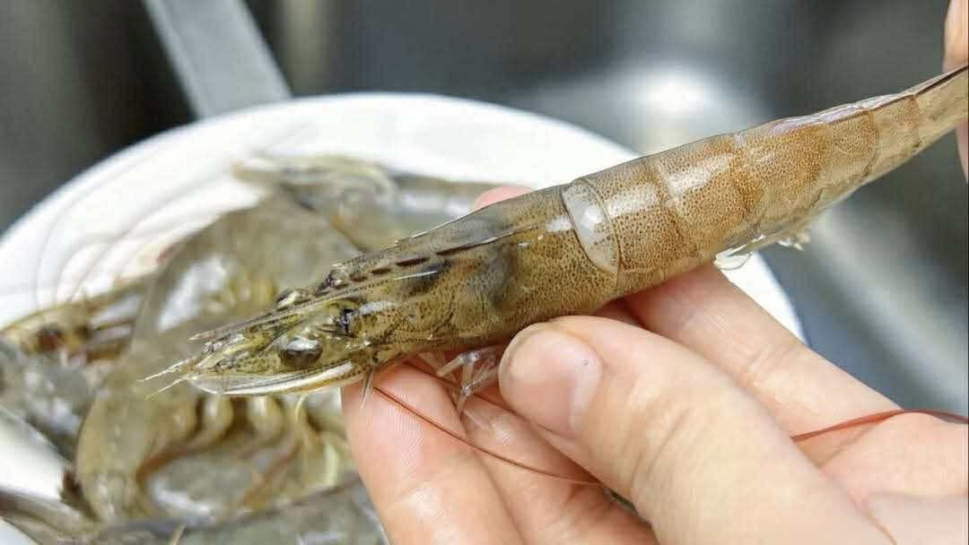 Có nên bỏ chỉ tôm không? Một ngư dân 60 tuổi xua tay "đừng làm thế nữa, chưa đủ đâu!"- Ảnh 2.