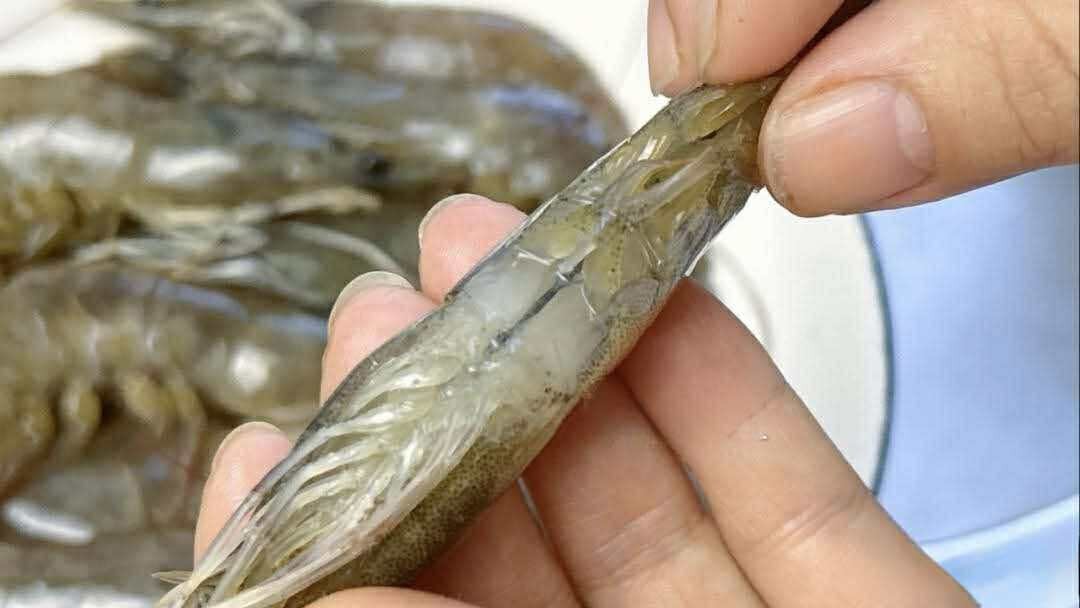 Có nên bỏ chỉ tôm không? Một ngư dân 60 tuổi xua tay "đừng làm thế nữa, chưa đủ đâu!"- Ảnh 3.