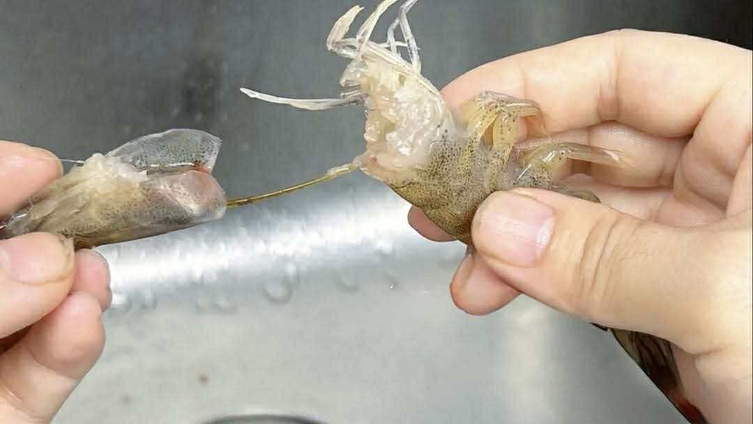 Có nên bỏ chỉ tôm không? Một ngư dân 60 tuổi xua tay "đừng làm thế nữa, chưa đủ đâu!"- Ảnh 8.