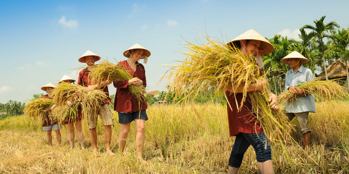 Vượt qua Indonesia và Thái Lan, đại diện duy nhất của Việt Nam lọt top 20 ngôi làng đẹp nhất thế giới- Ảnh 6. Vượt qua Indonesia và Thái Lan, đại diện duy nhất của Việt Nam lọt top 20 ngôi làng đẹp nhất thế giới- Ảnh 6.