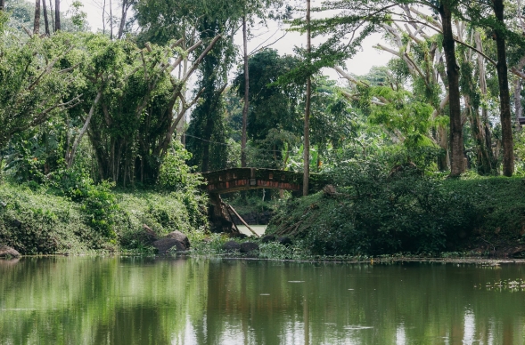 Nam NSƯT giàu nhất nhì Việt Nam làm chủ 2 khu du lịch và 5 hòn đảo, đi hát không cát-xê- Ảnh 4.