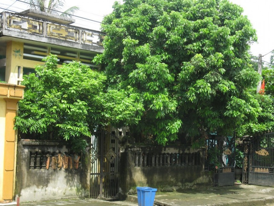 3 chi tiết trong nhà tưởng vô hại nhưng khiến tài vận cứ trôi đi- Ảnh 1. 3 chi tiết trong nhà tưởng vô hại nhưng khiến tài vận cứ trôi đi- Ảnh 1.