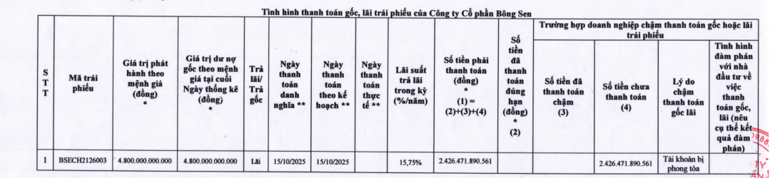 Doanh nghiệp liên quan đến bà Trương Mỹ Lan chậm thanh toán hơn 2.400 tỷ đồng trái phiếu- Ảnh 1. Doanh nghiệp liên quan đến bà Trương Mỹ Lan chậm thanh toán hơn 2.400 tỷ đồng trái phiếu- Ảnh 1.