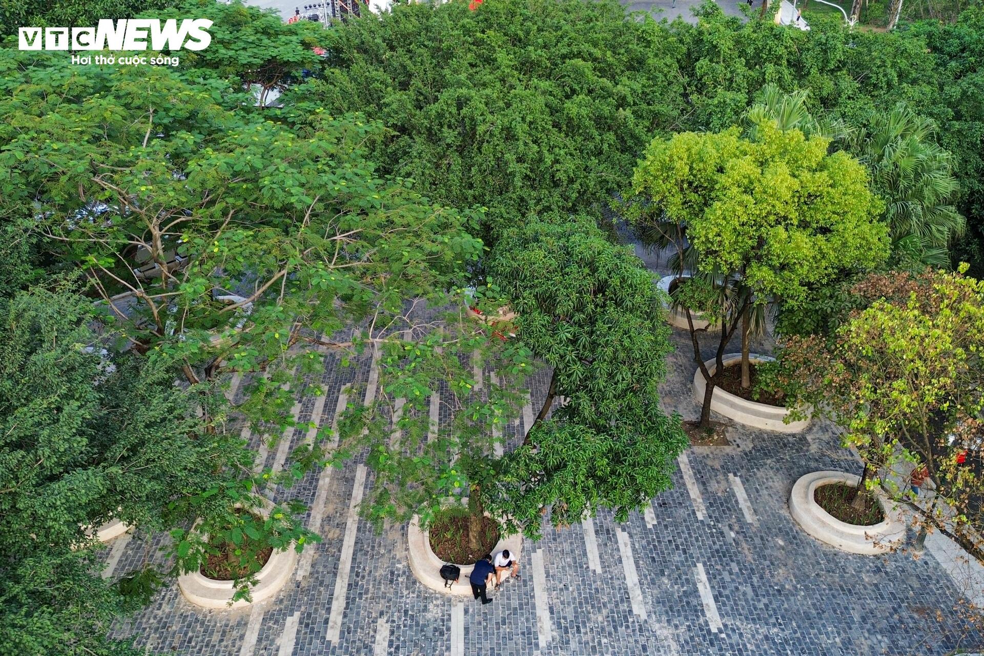 Được đầu tư cải tạo 66 tỷ đồng, công viên ở Hà Nội khang trang, khác lạ- Ảnh 14. Được đầu tư cải tạo 66 tỷ đồng, công viên ở Hà Nội khang trang, khác lạ- Ảnh 14.