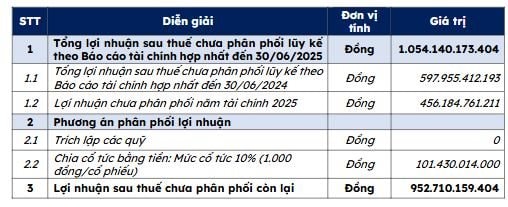 ĐHĐCĐ Coteccons 2025: Dự kiến chia cổ tức bằng tiền - tỷ lệ 10%- Ảnh 2. ĐHĐCĐ Coteccons 2025: Dự kiến chia cổ tức bằng tiền - tỷ lệ 10%- Ảnh 2.