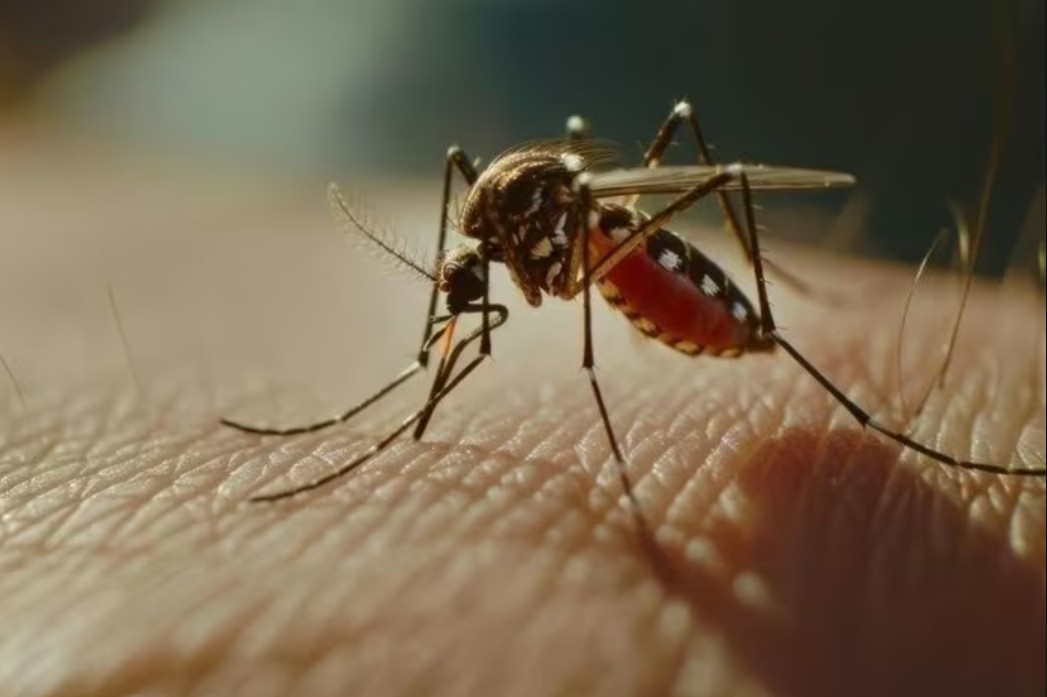 Loại virus khiến Trung Quốc phải kích hoạt kiểm soát dịch như thời Covid-19 đã xuất hiện ở quốc gia khác- Ảnh 3. Loại virus khiến Trung Quốc phải kích hoạt kiểm soát dịch như thời Covid-19 đã xuất hiện ở quốc gia khác- Ảnh 3.