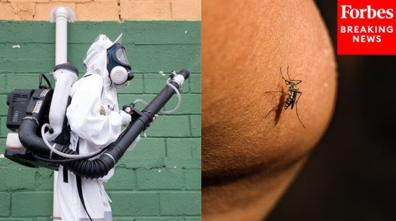 Loại virus khiến Trung Quốc phải kích hoạt kiểm soát dịch như thời Covid-19 đã xuất hiện ở quốc gia khác- Ảnh 1. Loại virus khiến Trung Quốc phải kích hoạt kiểm soát dịch như thời Covid-19 đã xuất hiện ở quốc gia khác- Ảnh 1.