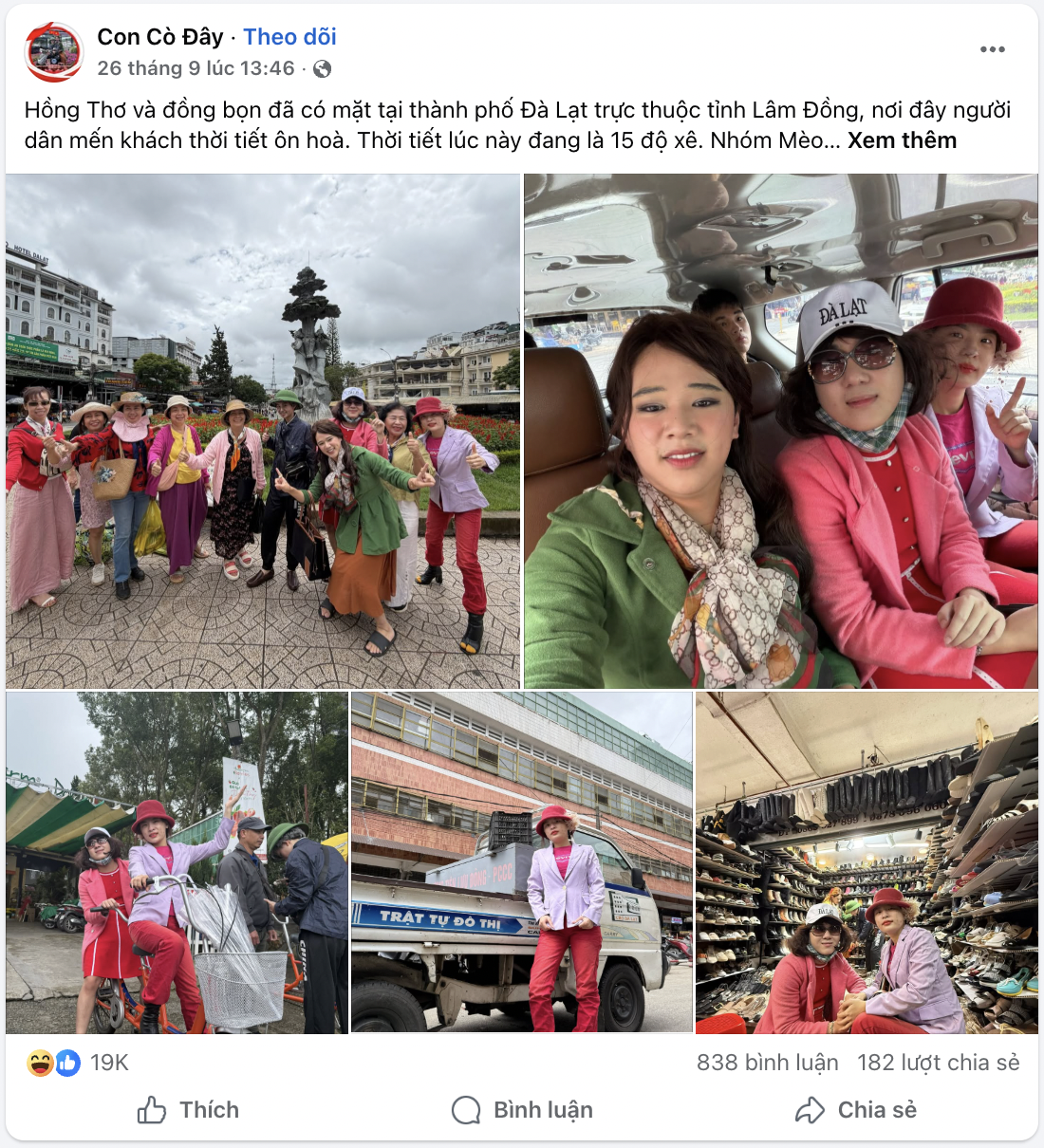 Cơn sốt Mèo Hoang: Khi các mẹ trung niên ở Việt Nam quá hot!- Ảnh 6. Cơn sốt Mèo Hoang: Khi các mẹ trung niên ở Việt Nam quá hot!- Ảnh 6.