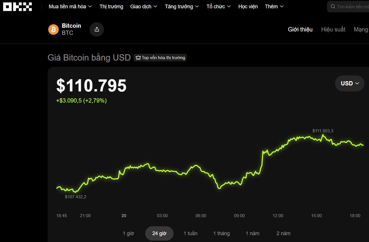 Thị trường tiền số hôm nay, 20-10: Chuyên gia nói gì về đà phục hồi của Bitcoin sau cú sập?- Ảnh 1.