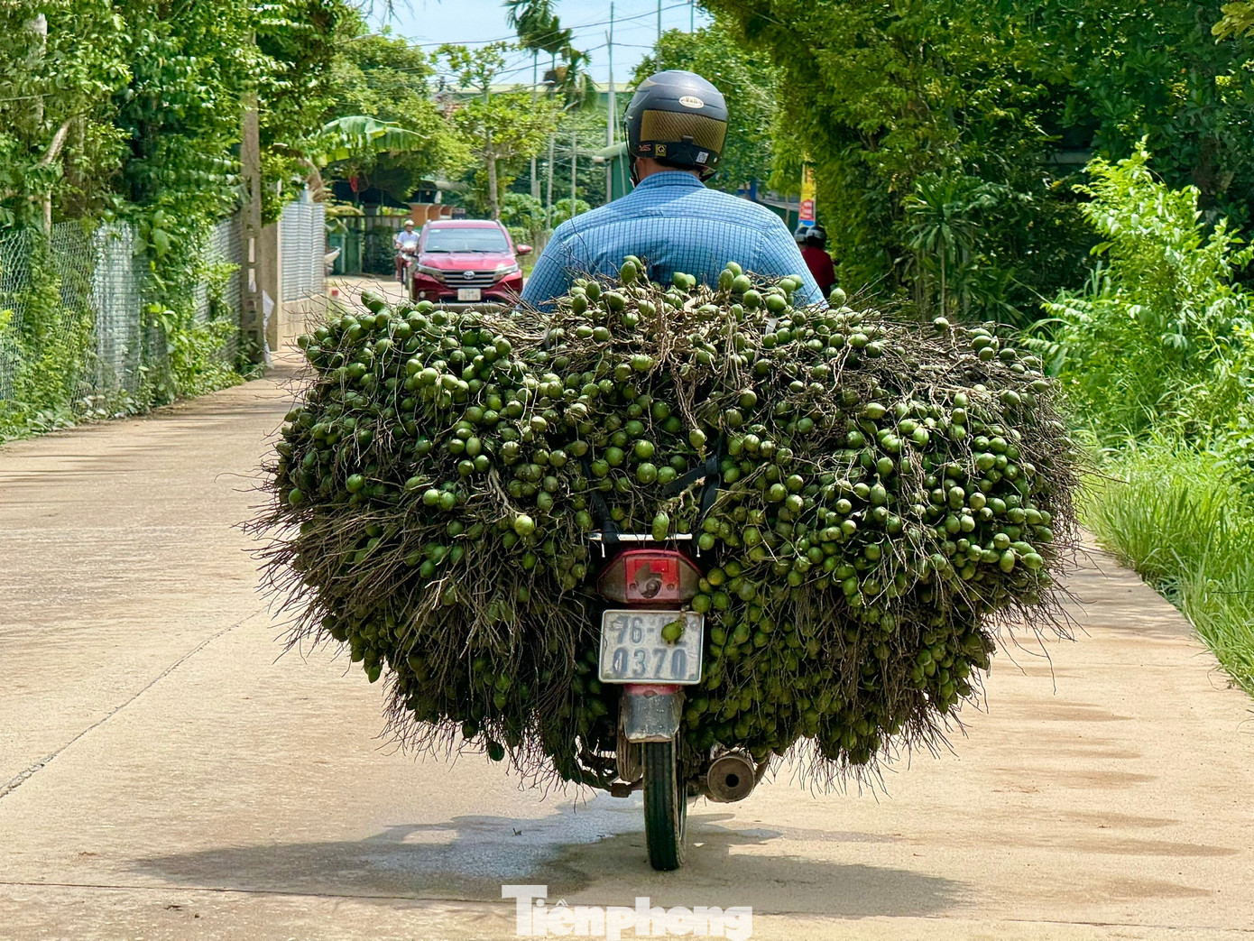Cau rớt giá thảm hại vì thương lái Trung Quốc bất ngờ 'quay xe'- Ảnh 4. Cau rớt giá thảm hại vì thương lái Trung Quốc bất ngờ 'quay xe'- Ảnh 4.