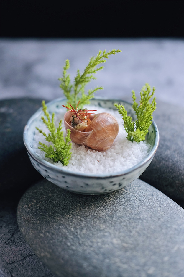 Nguyễn Đỗ Nguyệt Ánh bị truy tố cùng Tùng Dinning là ai?- Ảnh 2. Nguyễn Đỗ Nguyệt Ánh bị truy tố cùng Tùng Dinning là ai?- Ảnh 2.
