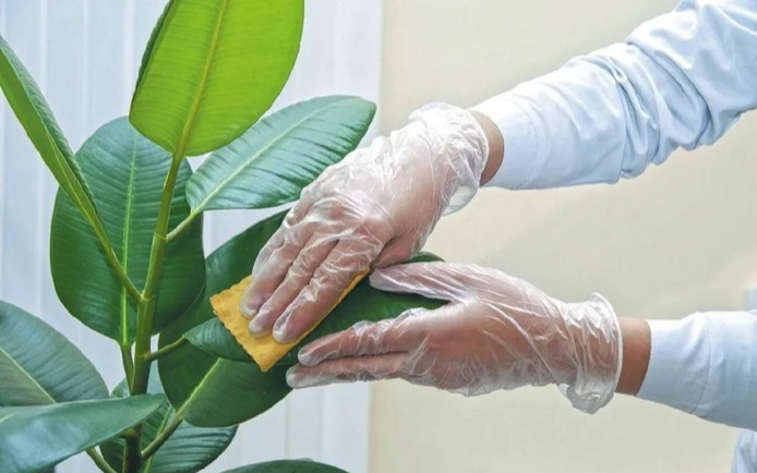 8 dấu hiệu nhận biết ngôi nhà 8 dấu hiệu nhận biết ngôi nhà