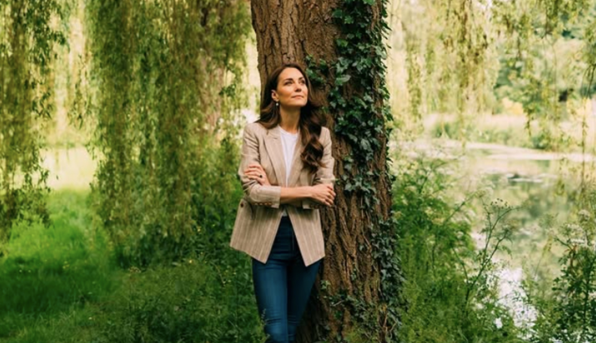 Giải mã 'Tắm rừng' - liệu pháp phục hồi, cải thiện sức khỏe được Bill Gates, công nương Kate cực ưa chuộng- Ảnh 1.