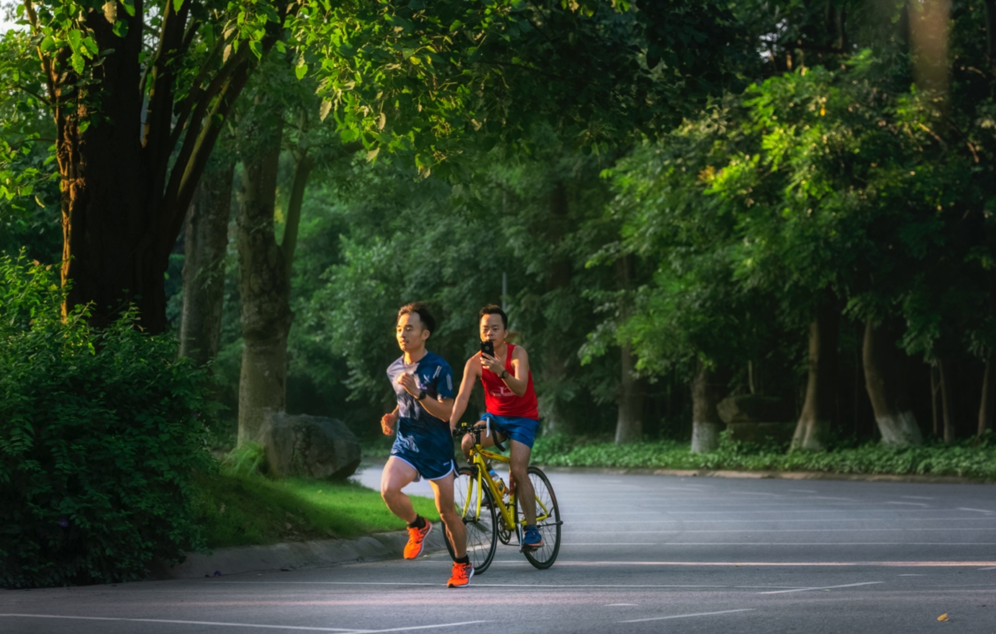 Giải mã 'Tắm rừng' - liệu pháp phục hồi, cải thiện sức khỏe được Bill Gates, công nương Kate cực ưa chuộng- Ảnh 2.