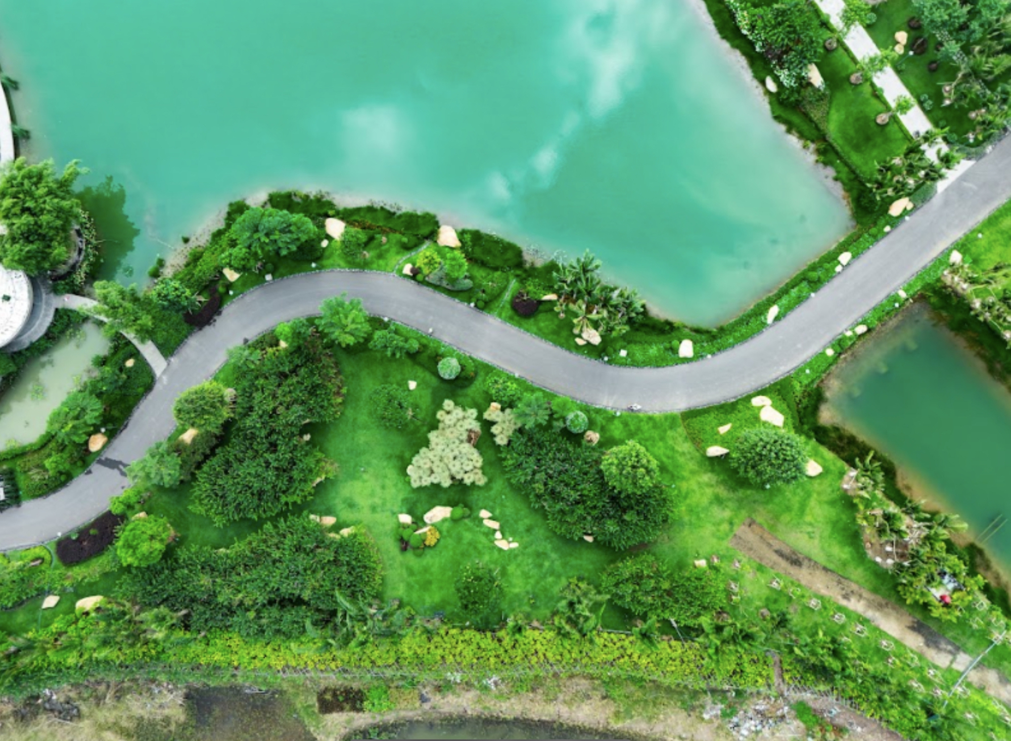 Giải mã 'Tắm rừng' - liệu pháp phục hồi, cải thiện sức khỏe được Bill Gates, công nương Kate cực ưa chuộng- Ảnh 5.