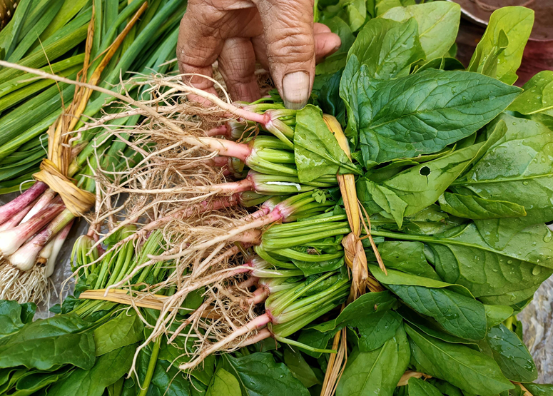 Ngày càng nhiều người tử vong vì suy thận, bác sĩ khuyên: Chớ dại đụng nhiều 5 loại rau này- Ảnh 2. Ngày càng nhiều người tử vong vì suy thận, bác sĩ khuyên: Chớ dại đụng nhiều 5 loại rau này- Ảnh 2.