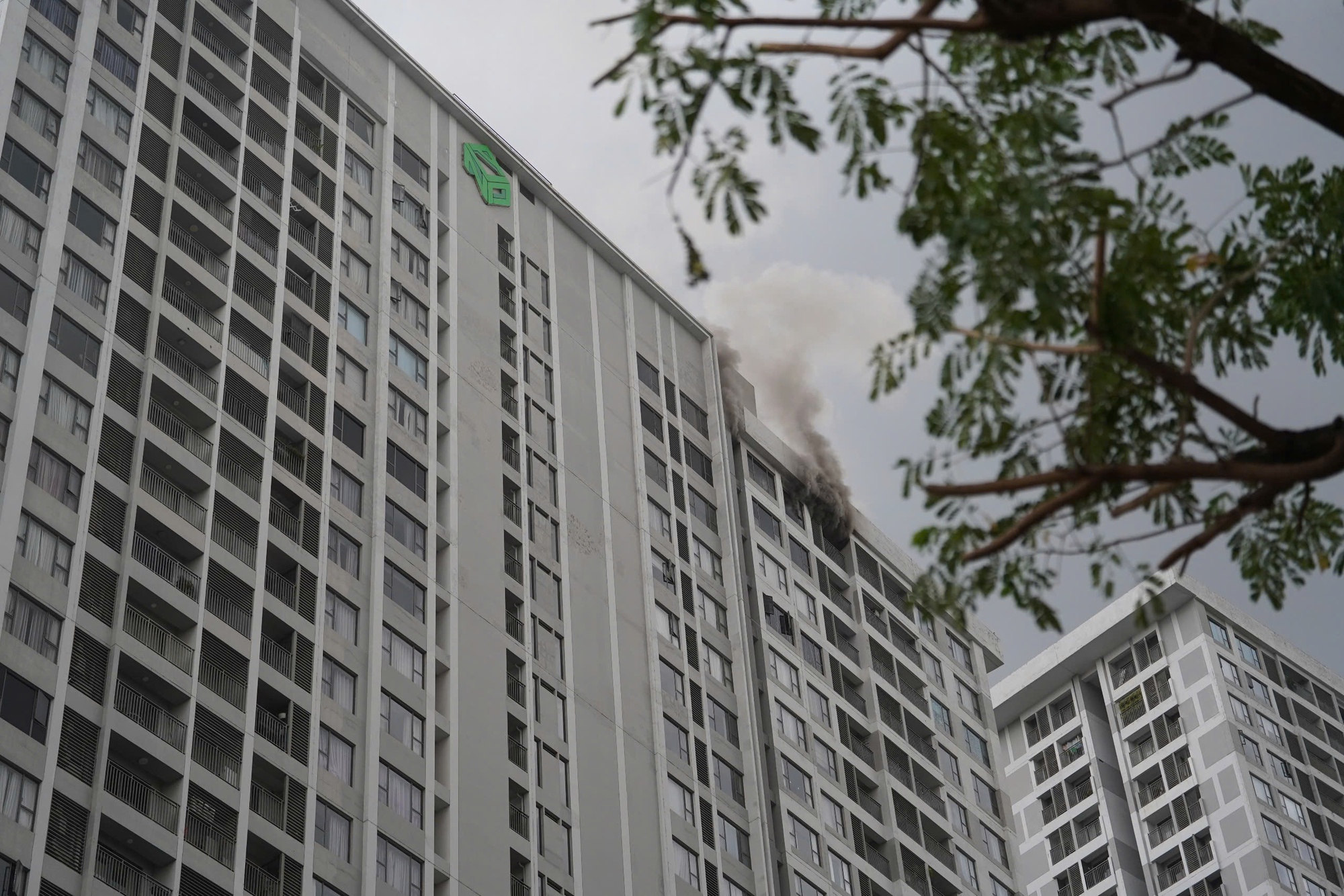 Thông tin mới vụ cháy chung cư River Gate Residence ở phường Khánh Hội- Ảnh 1. Thông tin mới vụ cháy chung cư River Gate Residence ở phường Khánh Hội- Ảnh 1.