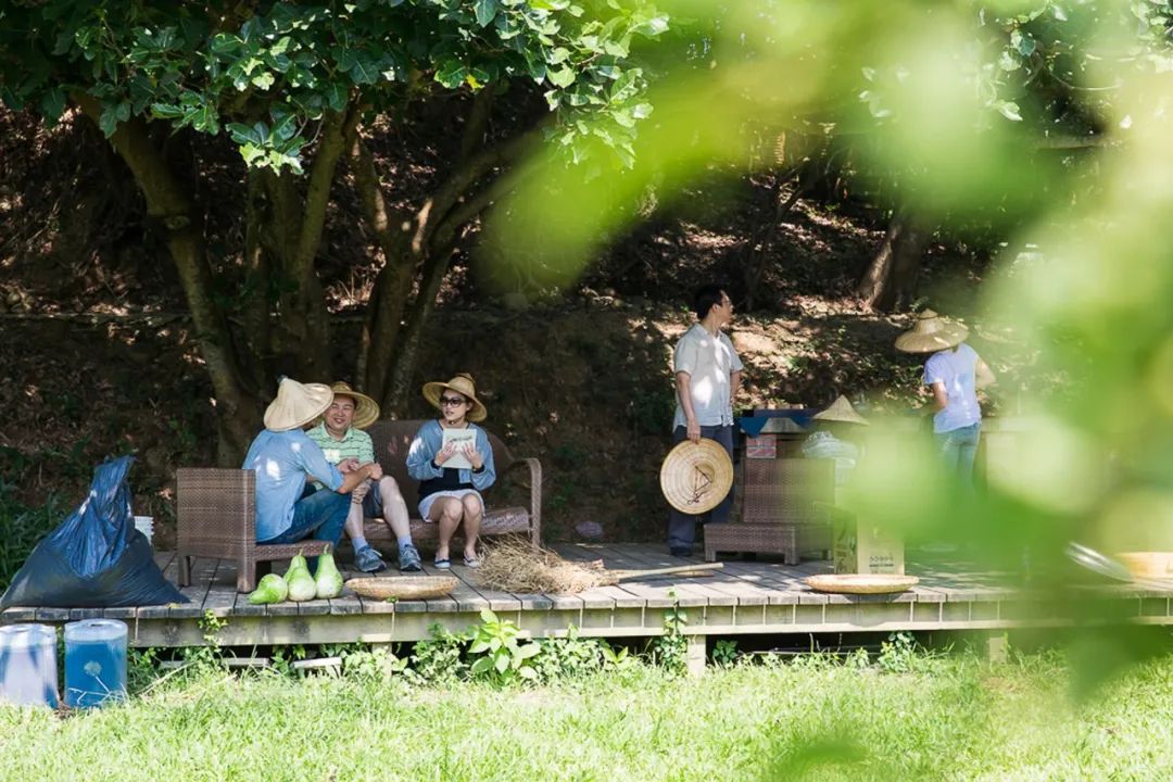 24 gia đình trung lưu góp 554 tỷ đồng mua 8.000m2 đất hoang xây làng "biệt phủ" để nghỉ hưu: Sau 10 năm, giá nhà tăng chóng mặt nhưng không ai muốn bán- Ảnh 1. 24 gia đình trung lưu góp 554 tỷ đồng mua 8.000m2 đất hoang xây làng "biệt phủ" để nghỉ hưu: Sau 10 năm, giá nhà tăng chóng mặt nhưng không ai muốn bán- Ảnh 1.