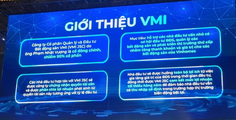 Tỷ phú Phạm Nhật Vượng sáp nhập Bất động sản Hưng Long vào VinSpeed, chấm dứt hoạt động công ty 
