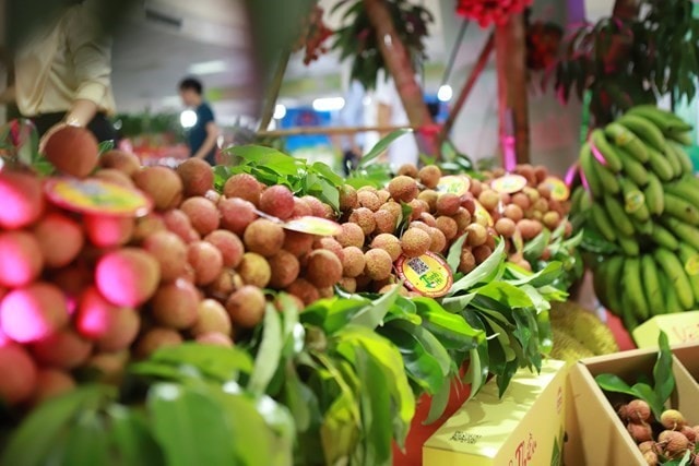 Trung Quốc chi tiền cao kỷ lục để nhập một mặt hàng từ Việt Nam- Ảnh 1. Trung Quốc chi tiền cao kỷ lục để nhập một mặt hàng từ Việt Nam- Ảnh 1.