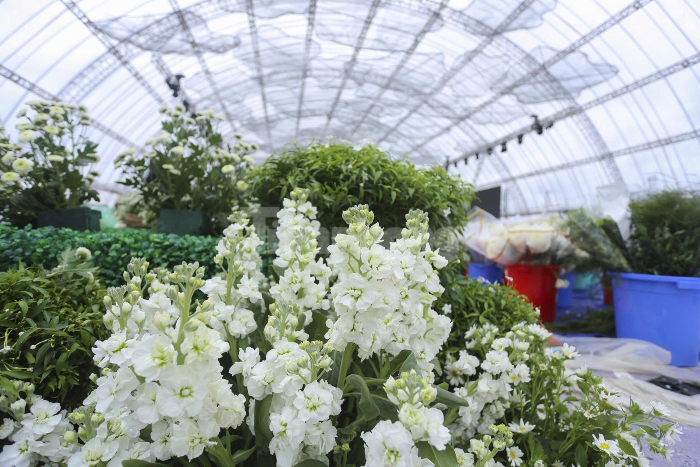 Bên trong rạp cưới mái vòm 3.000 m2 được nhà chồng Đỗ Thị Hà dựng bên bờ sông Nhật Lệ- Ảnh 14.