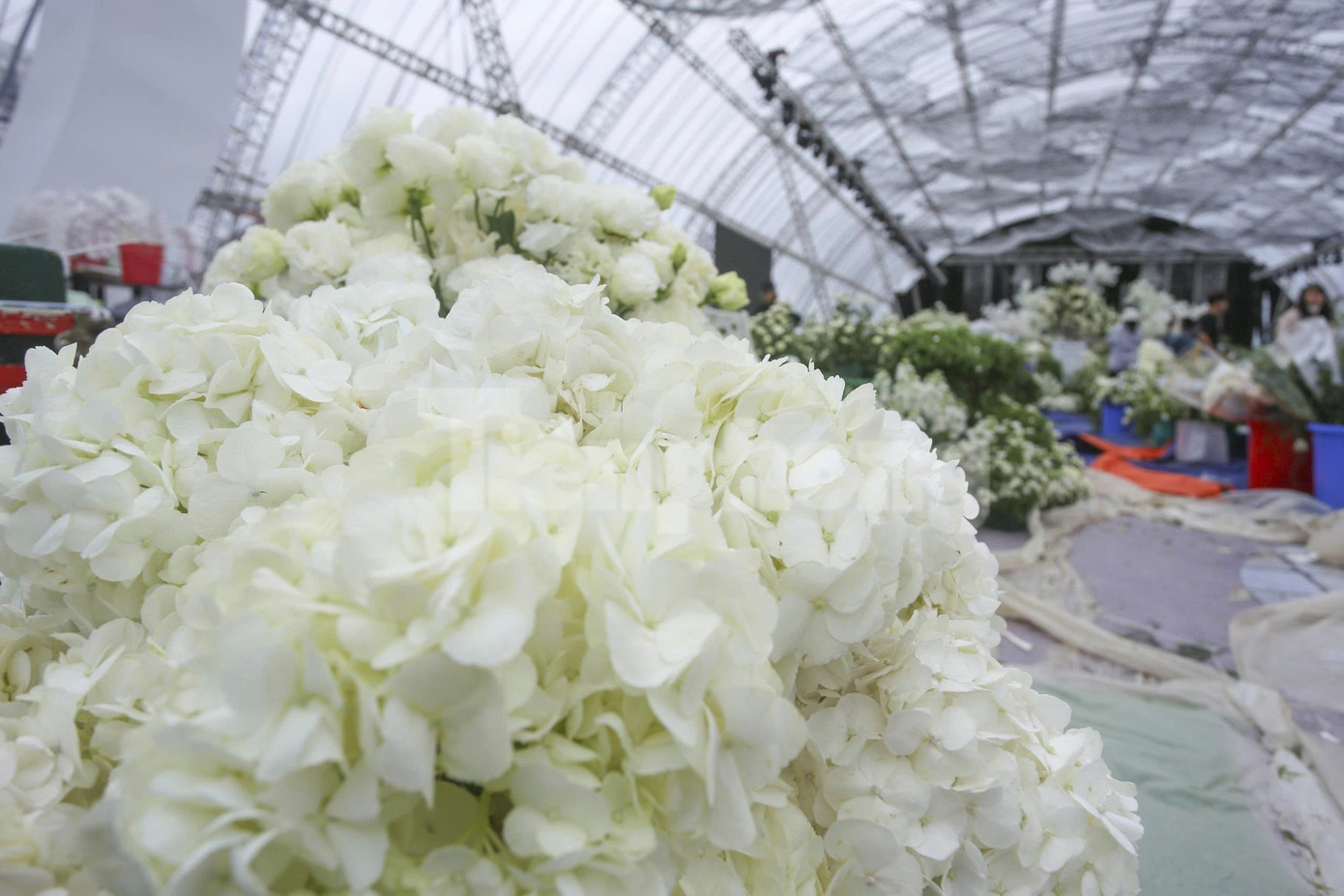 Bên trong rạp cưới mái vòm 3.000 m2 được nhà chồng Đỗ Thị Hà dựng bên bờ sông Nhật Lệ- Ảnh 16.