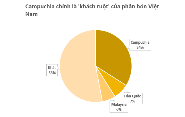 Campuchia vừa mua hơn 500.000 tấn hàng quan trọng từ Việt Nam: Được mệnh danh ‘cứu tinh’ của nông sản láng giềng, nước ta bỏ túi hơn 700 triệu USD- Ảnh 2.