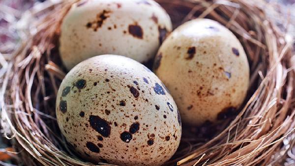 Khuyên thật: Đi chợ mua trứng nhớ 5 bí quyết này, trứng ngon, để được lâu- Ảnh 1. Khuyên thật: Đi chợ mua trứng nhớ 5 bí quyết này, trứng ngon, để được lâu- Ảnh 1.