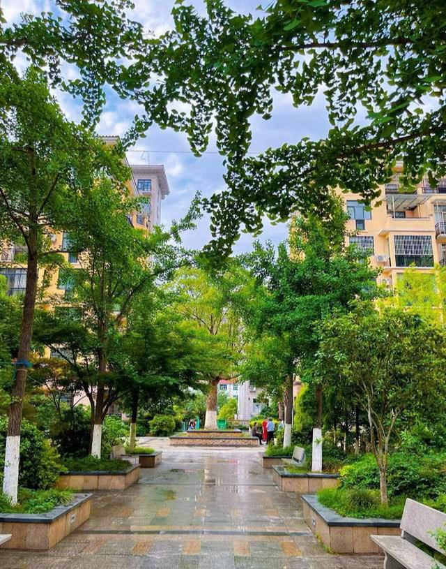 48 tuổi, tôi rời căn hộ cao tầng để sống ở khu chung cư cũ - và bất ngờ tìm lại hạnh phúc thật sự- Ảnh 4. 48 tuổi, tôi rời căn hộ cao tầng để sống ở khu chung cư cũ - và bất ngờ tìm lại hạnh phúc thật sự- Ảnh 4.