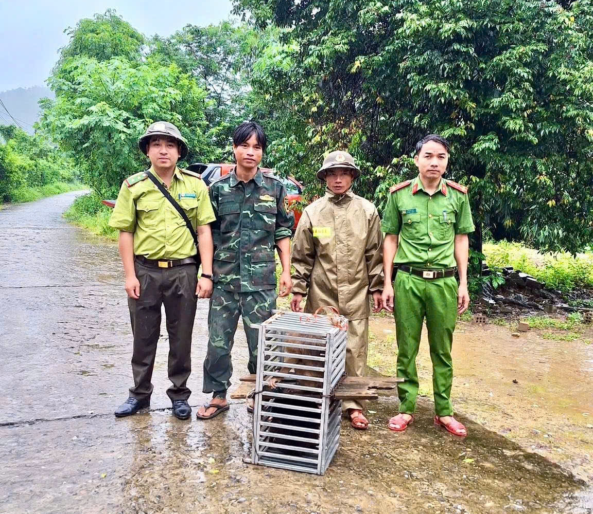 Bắt được con vật "mặt đỏ như gấc", người dân trình báo chính quyền- Ảnh 3. Bắt được con vật "mặt đỏ như gấc", người dân trình báo chính quyền- Ảnh 3.