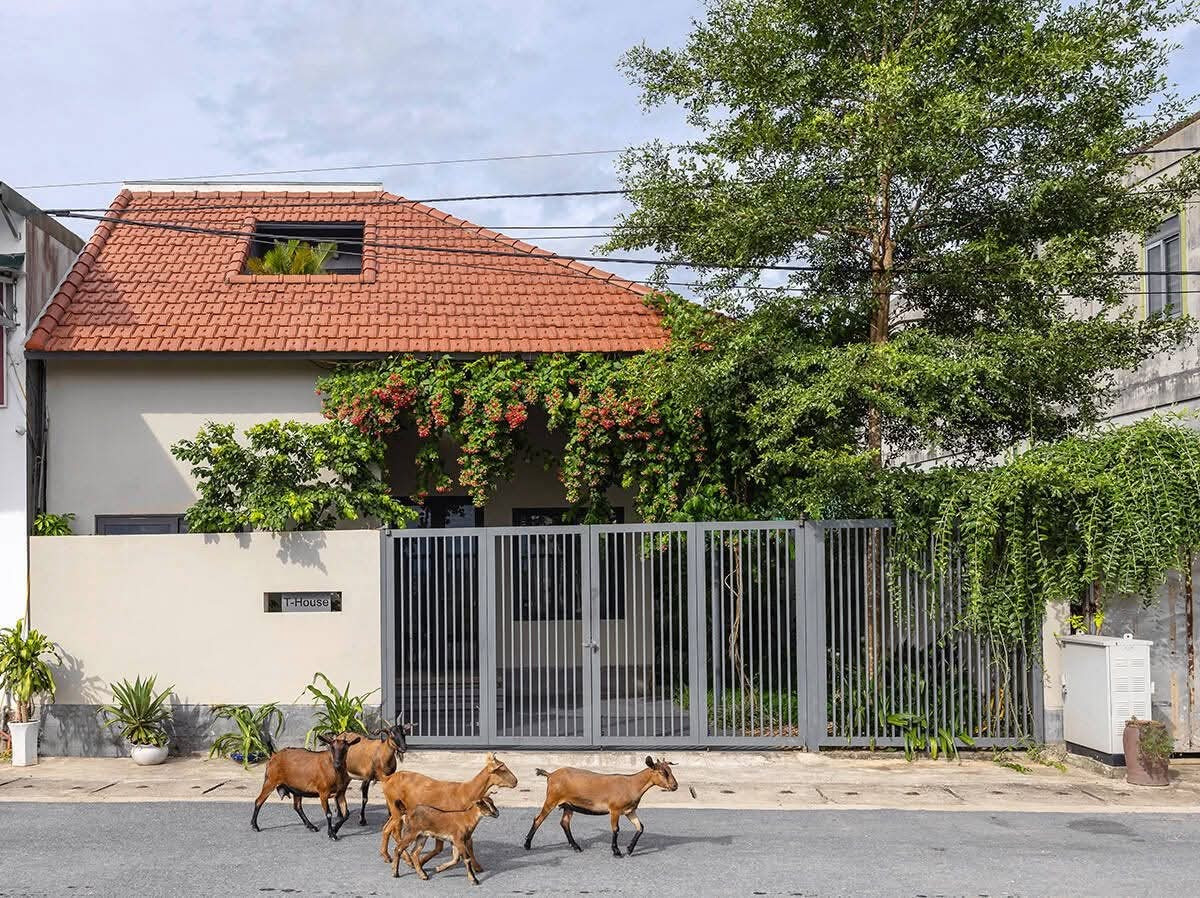 Nhà '1 gian' 130m2 tái hiện nếp sống làng quê- Ảnh 1. Nhà '1 gian' 130m2 tái hiện nếp sống làng quê- Ảnh 1.