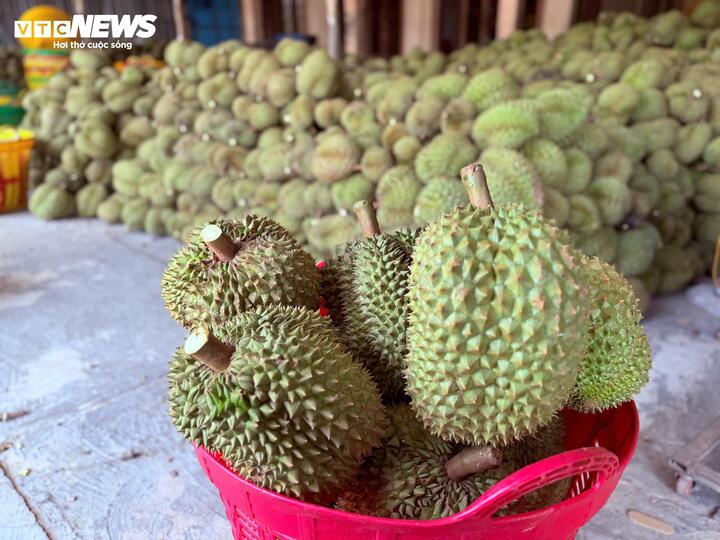Xôn xao thông tin các kho ngừng thu mua sầu riêng: Thương lái, nhà vườn lo lắng- Ảnh 2. Xôn xao thông tin các kho ngừng thu mua sầu riêng: Thương lái, nhà vườn lo lắng- Ảnh 2.