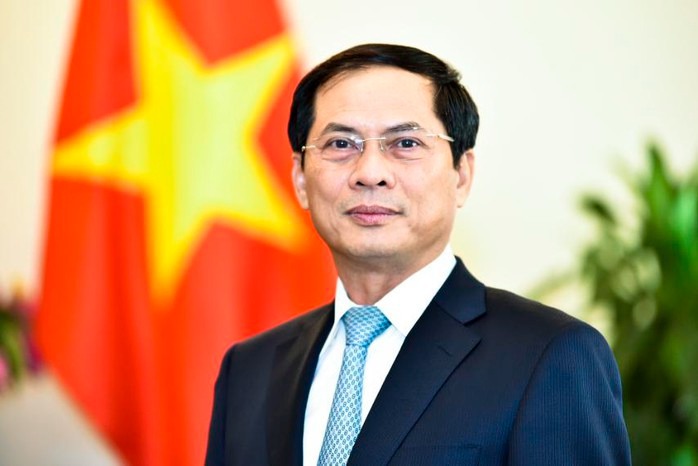 Miễn nhiệm Bộ trưởng Bộ Ngoại giao Bùi Thanh Sơn và Bộ trưởng Bộ Nội vụ Phạm Thị Thanh Trà- Ảnh 2.