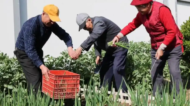 Bác họ lương hưu 30 triệu đồng, cha tôi chỉ có 5 triệu đồng: Người sống hạnh phúc hơn không phải ai cũng ngờ tới- Ảnh 2. Bác họ lương hưu 30 triệu đồng, cha tôi chỉ có 5 triệu đồng: Người sống hạnh phúc hơn không phải ai cũng ngờ tới- Ảnh 2.