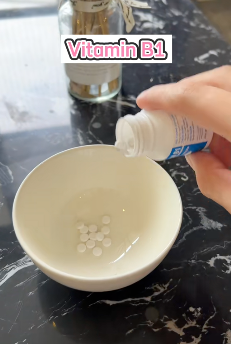HH Đỗ Hà dưỡng tóc bằng cách này: Nghiền viên B1 trộn cùng dầu dừa để tóc nhanh dài và dày- Ảnh 7. HH Đỗ Hà dưỡng tóc bằng cách này: Nghiền viên B1 trộn cùng dầu dừa để tóc nhanh dài và dày- Ảnh 7.