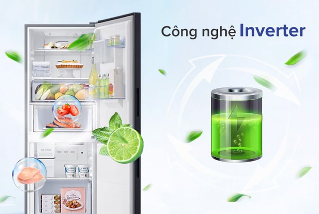 Tủ lạnh 1 cánh hay 2 cánh để đồ tốt hơn? Chuyên gia phân tích dựa trên 3 yếu tố quan trọng- Ảnh 5. Tủ lạnh 1 cánh hay 2 cánh để đồ tốt hơn? Chuyên gia phân tích dựa trên 3 yếu tố quan trọng- Ảnh 5.