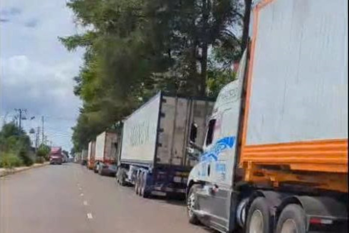 Kiến nghị khẩn việc ách tắc sầu riêng ở Đắk Lắk- Ảnh 1. Kiến nghị khẩn việc ách tắc sầu riêng ở Đắk Lắk- Ảnh 1.