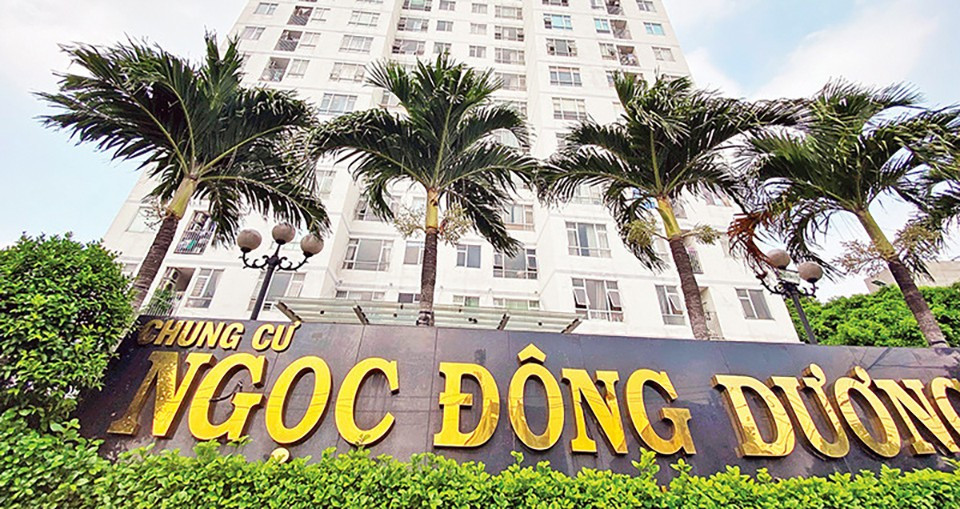 Hàng loạt chung cư TPHCM sắp được cấp sổ hồng- Ảnh 2. Hàng loạt chung cư TPHCM sắp được cấp sổ hồng- Ảnh 2.