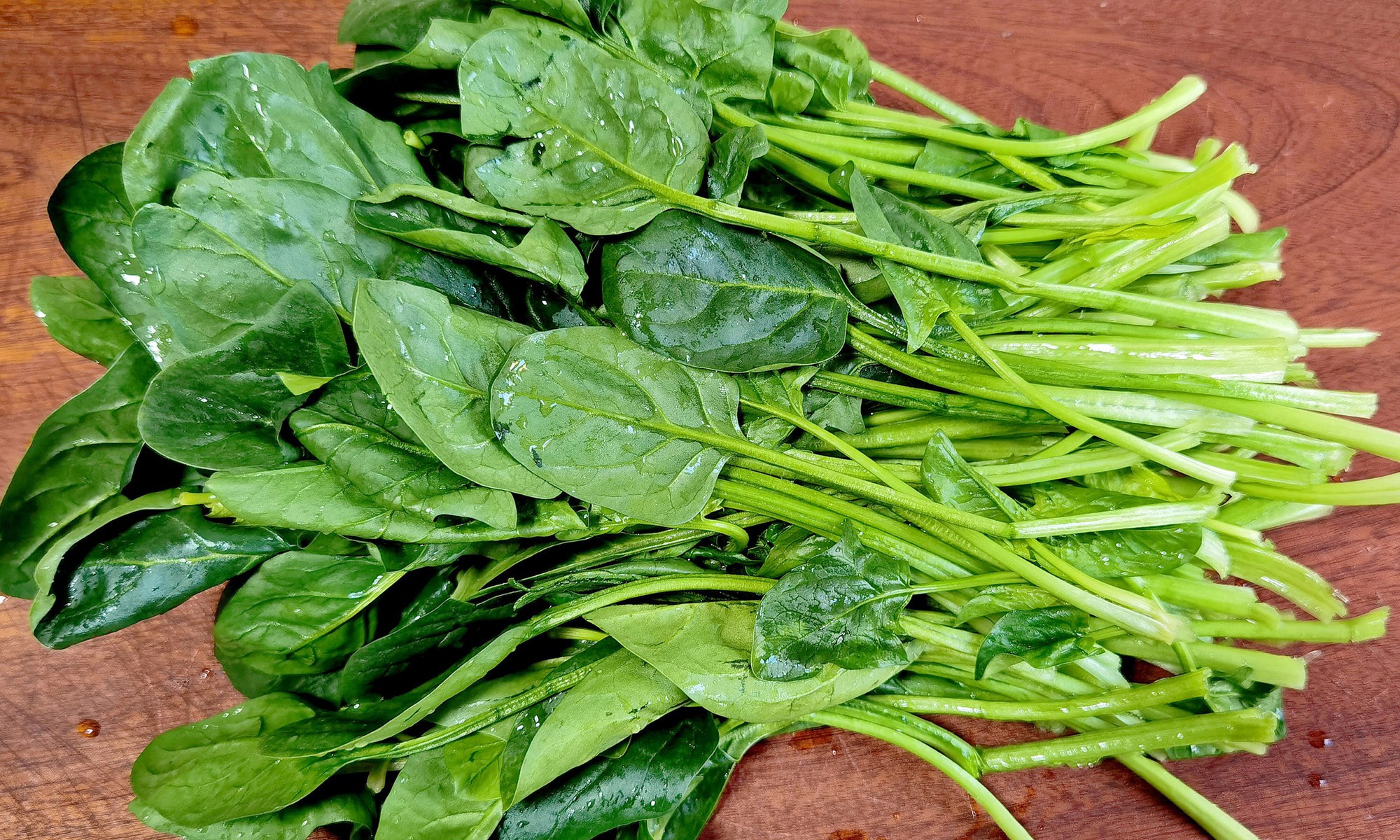 Đi chợ mùa lạnh mua rau chân vịt ngon: Nhớ nhìn lá tròn hay lá nhọn kẻo món bị sượng- Ảnh 1. Đi chợ mùa lạnh mua rau chân vịt ngon: Nhớ nhìn lá tròn hay lá nhọn kẻo món bị sượng- Ảnh 1.