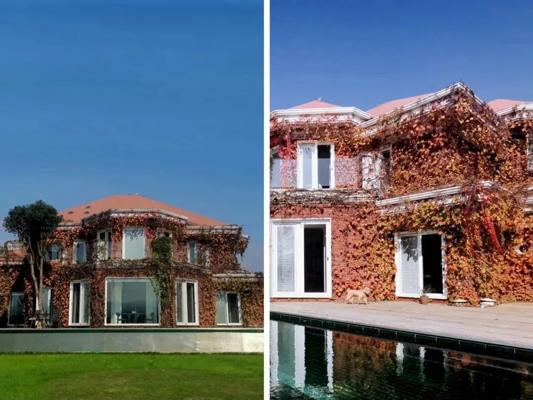 Nam nghệ sĩ 70 tuổi xây biệt thự 1.200m2 cùng vợ dưỡng già: Không sống cùng con cháu, không nghỉ hưu vẫn hài lòng- Ảnh 2.