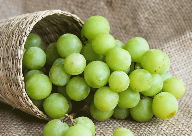 Sự thật hay tin đồn? 6 loại trái cây bị gán mác  Sự thật hay tin đồn? 6 loại trái cây bị gán mác