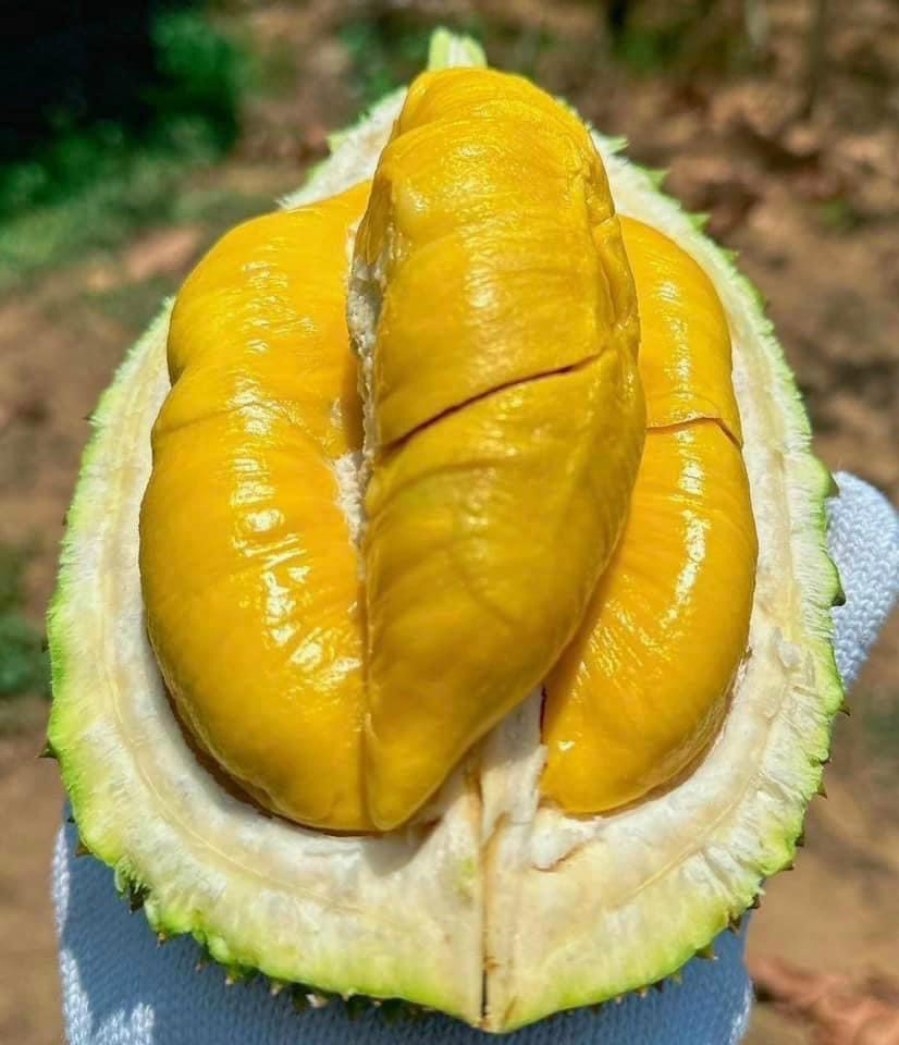 Sự thật hay tin đồn? 6 loại trái cây bị gán mác  Sự thật hay tin đồn? 6 loại trái cây bị gán mác