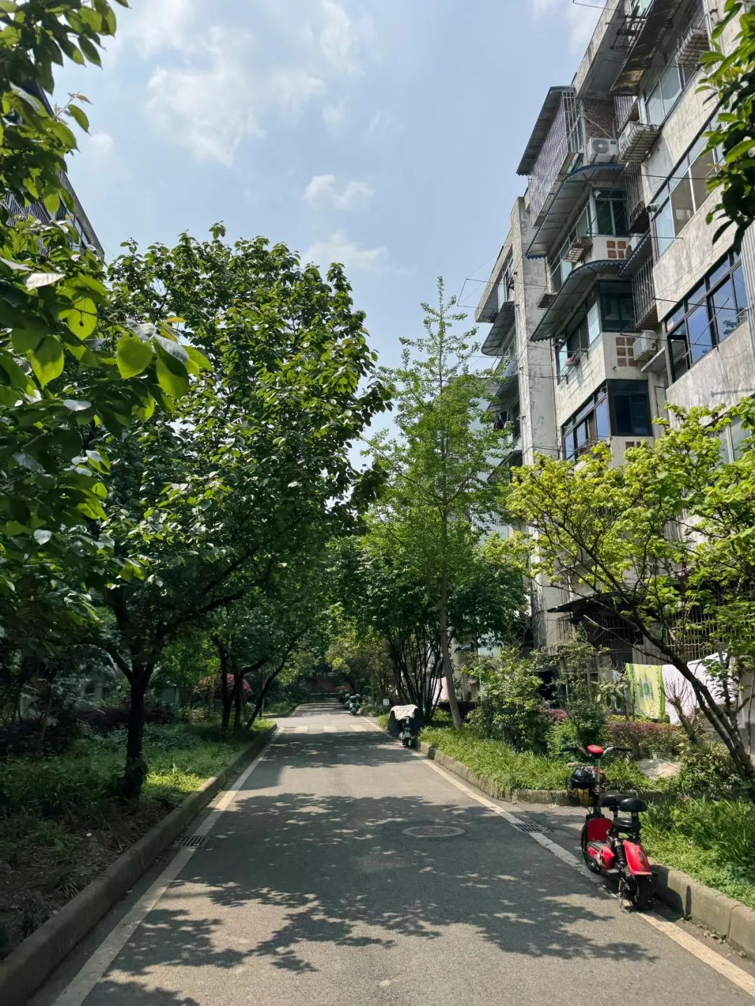 Khi “cũ” thành xu hướng: Người trẻ đang tìm kiếm điều gì trong những khu dân cư xập xệ giữa lòng thành phố?- Ảnh 4. Khi “cũ” thành xu hướng: Người trẻ đang tìm kiếm điều gì trong những khu dân cư xập xệ giữa lòng thành phố?- Ảnh 4.