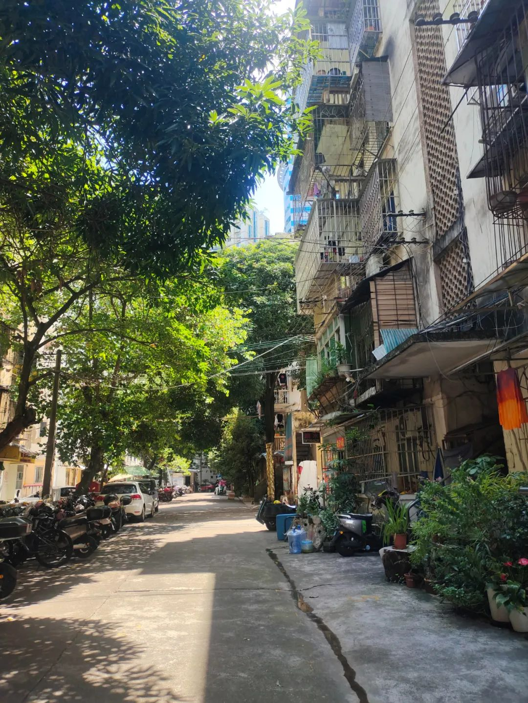 Khi “cũ” thành xu hướng: Người trẻ đang tìm kiếm điều gì trong những khu dân cư xập xệ giữa lòng thành phố?- Ảnh 8. Khi “cũ” thành xu hướng: Người trẻ đang tìm kiếm điều gì trong những khu dân cư xập xệ giữa lòng thành phố?- Ảnh 8.