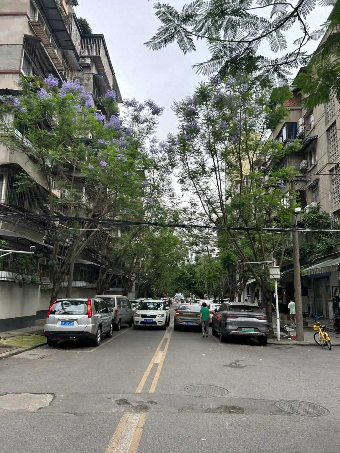 Khi “cũ” thành xu hướng: Người trẻ đang tìm kiếm điều gì trong những khu dân cư xập xệ giữa lòng thành phố?- Ảnh 9. Khi “cũ” thành xu hướng: Người trẻ đang tìm kiếm điều gì trong những khu dân cư xập xệ giữa lòng thành phố?- Ảnh 9.