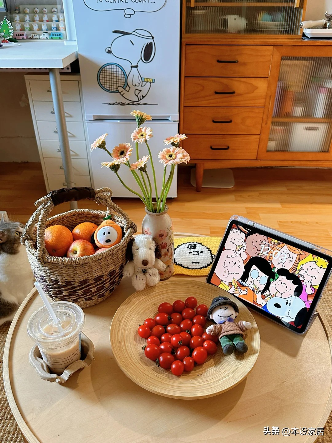 Cô gái 25 tuổi biến phòng trọ 20m² cũ kỹ thành tổ ấm khiến dân mạng sửng sốt: “Đúng là người yêu đời thì ở đâu cũng hạnh phúc!”- Ảnh 7.