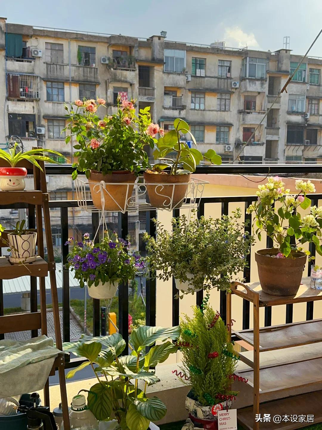 Cô gái 25 tuổi biến phòng trọ 20m² cũ kỹ thành tổ ấm khiến dân mạng sửng sốt: “Đúng là người yêu đời thì ở đâu cũng hạnh phúc!”- Ảnh 13.